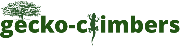 gecko-climbers.de